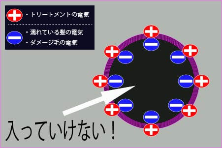 カチオンは入っていけない
