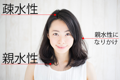 疎水性と親水性毛