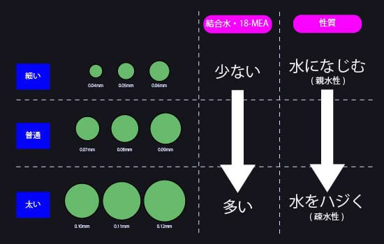 親水毛と疎水毛