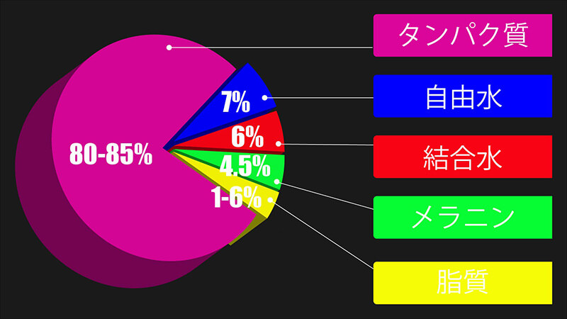 髪の成分比率円グラフ